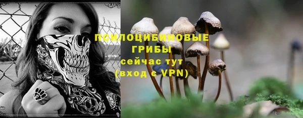 прущие грибы Абдулино