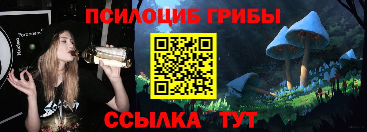 Псилоцибиновые грибы мухоморы Сызрань